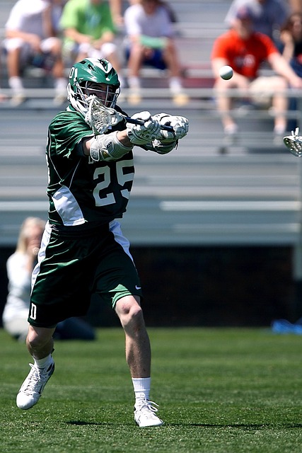 也是长春亚 也是长春亚